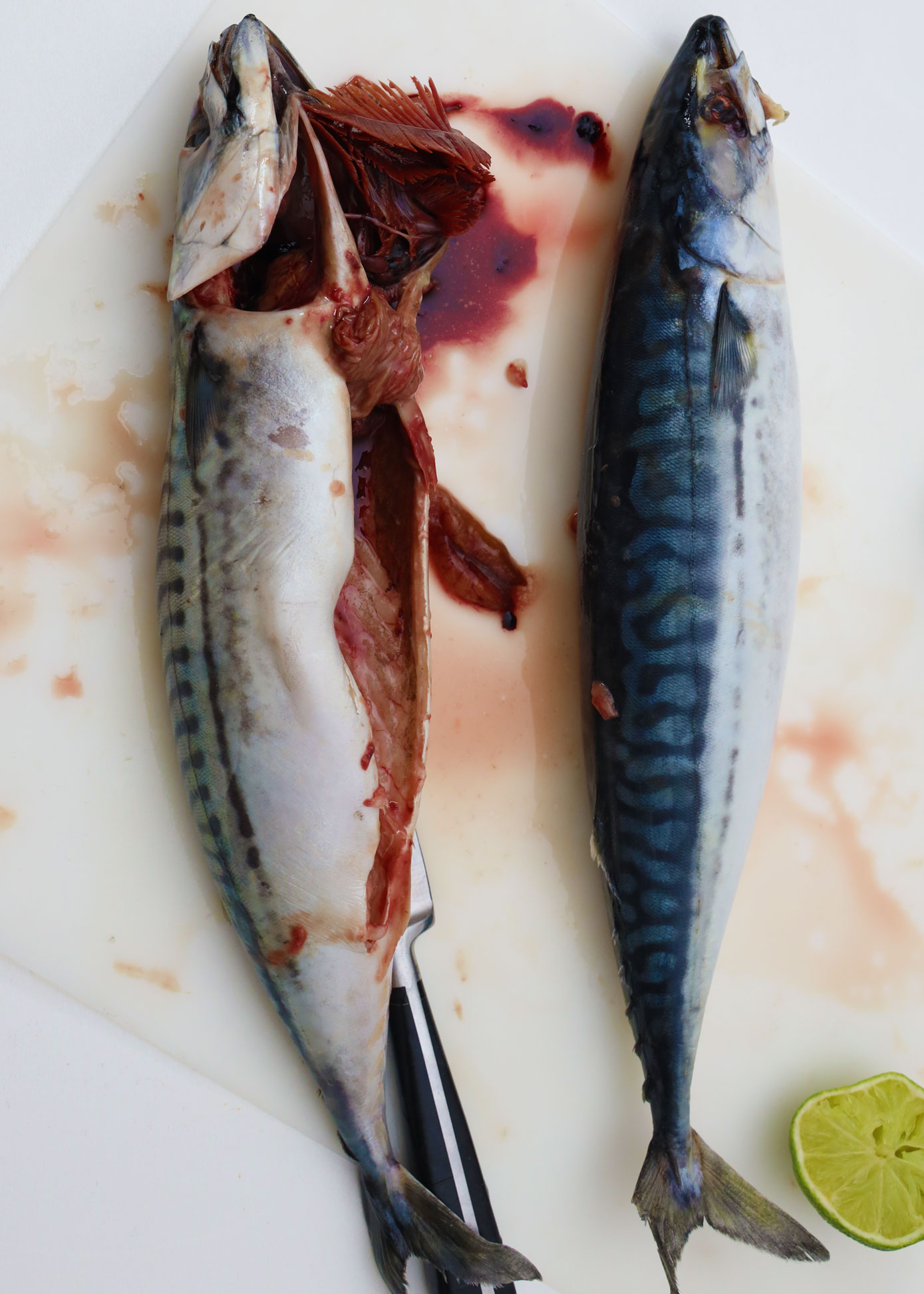 Air Fried Norwegian Mackerel Fish Savourous